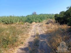 m2 - 6290 - photo-1