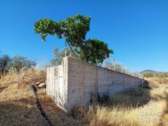 m2 - 6330 - photo-2