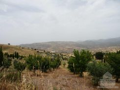 m2 - 6334 - photo-1