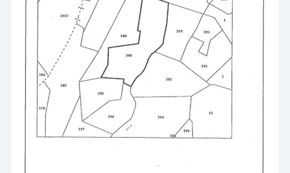 6384 - photo-1