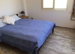 80 m2 - 6406 - photo-2