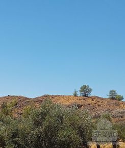 m2 - 6410 - photo-1