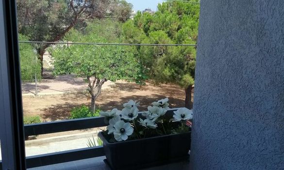 120 m2 - 6423 - photo-13