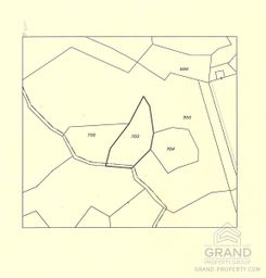 6491 - photo-2
