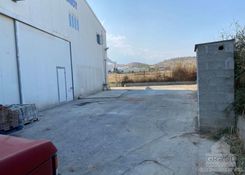 350 m2 - 6555 - photo-5