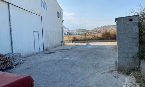 350 m2 - 6555 - photo-5