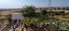 200 m2 - 6595 - photo-3