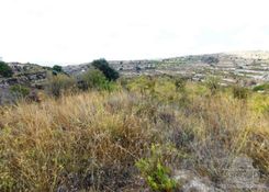 m2 - 6725 - photo-1