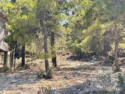m2 - 6841 - photo-1