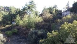 m2 - 6878 - photo-1