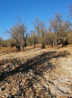 m2 - 6915 - photo-4