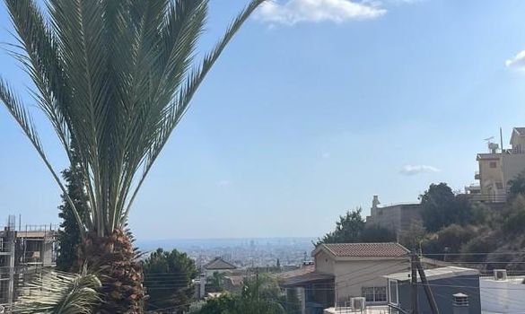 263 m2 - 7035 - photo-23