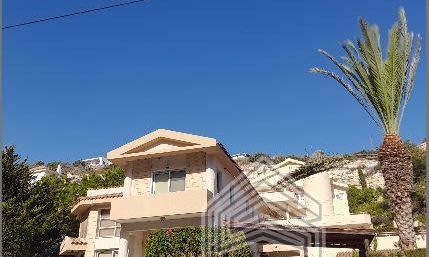 263 m2 - 7035 - photo-20