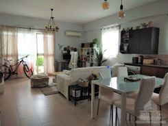 75 m2 - 7042 - photo-1