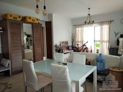 75 m2 - 7042 - photo-3