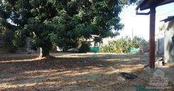 m2 - 7071 - photo-5