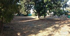 m2 - 7071 - photo-7