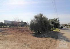 m2 - 7072 - photo-1