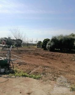 m2 - 7072 - photo-3