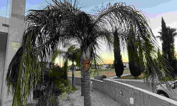 150 m2 - 7150 - photo-4