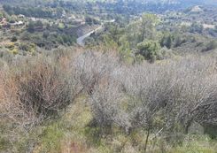 m2 - 7240 - photo-5