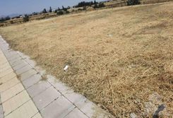 m2 - 7293 - photo-3