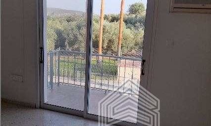 200 m2 - 7311 - photo-4