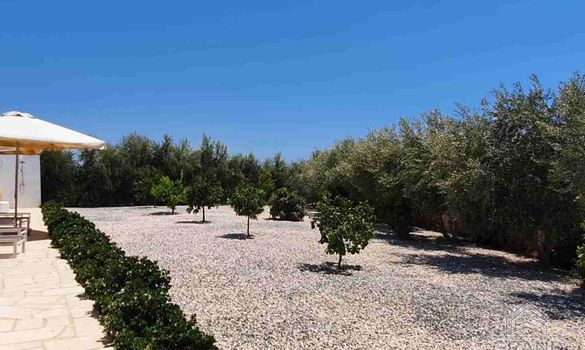 600 m2 - 7368 - photo-14