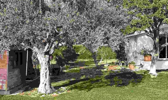 300 m2 - 7581 - photo-14