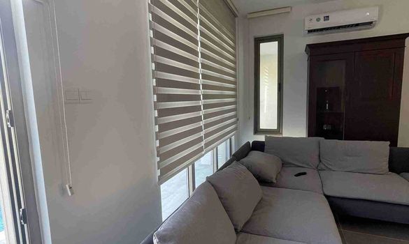 250 m2 - 7600 - photo-4