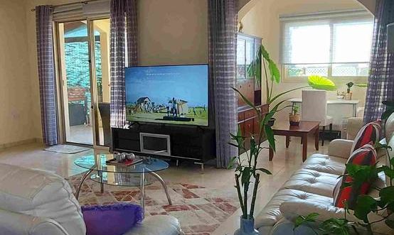 190 m2 - 7633 - photo-2