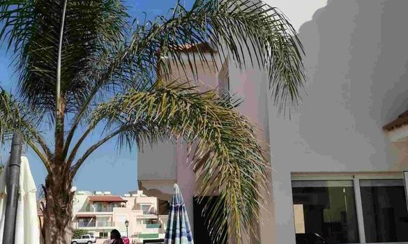 135 m2 - 7651 - photo-11