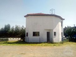 80 m2 - 7655 - photo-2