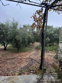 300 m2 - 7681 - photo-10