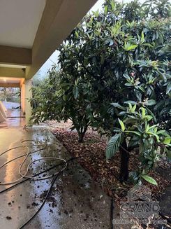 300 m2 - 7681 - photo-11