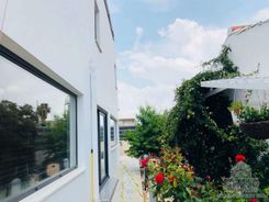 296 m2 - 7732 - photo-12