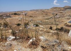 m2 - 7739 - photo-5