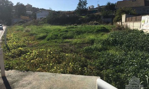 m2 - 7829 - photo-5