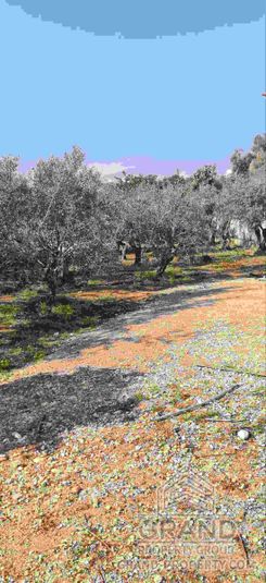 120 m2 - 7931 - photo-7