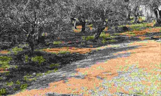 120 m2 - 7931 - photo-7