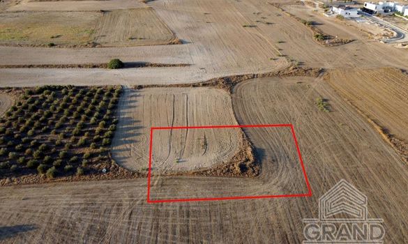 Field - 6786 - photo-17