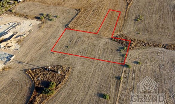 Field - 6786 - photo-26