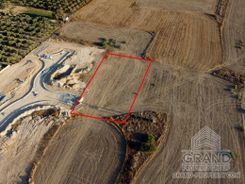 Field - 6786 - photo-27