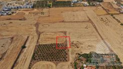 Field - 6786 - photo-6