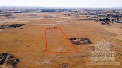 Field - 6787 - photo-1