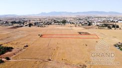 Field - 6787 - photo-2
