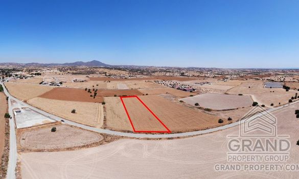Field - 6687 - photo-1