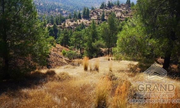 Field - 6513 - photo-2