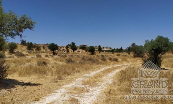 Field - 6086 - photo-1