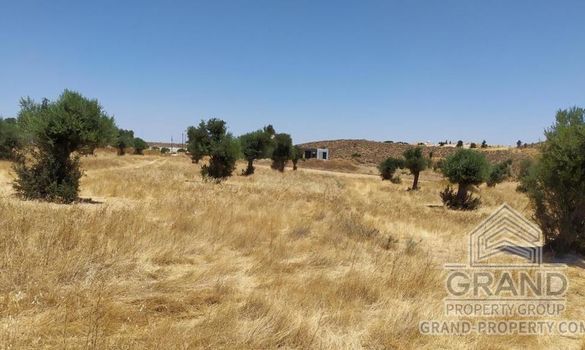 Field - 6086 - photo-2